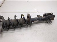 68625432AA Амортизатор подвески Dodge Hornet 2022-2025 21229803 #1