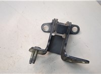  Петля крышки багажника Ford EcoSport 2017-2023 21238746 #1