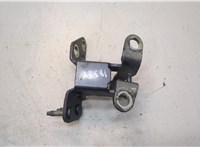  Петля крышки багажника Ford EcoSport 2017-2023 21238746 #2