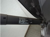 51247294469, 7294469 Амортизатор крышки багажника BMW X5 F15 2013-2018 11847843 #13