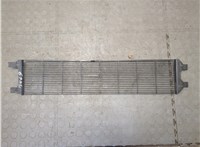 DG9317K808AB Пластик радиатора Ford Escape 2015-2019 21241067 #1