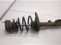 4854080527, 4823106381 Амортизатор подвески Toyota Camry V40 2006-2011 21241493 #1