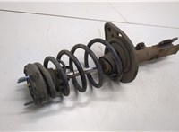 4854080527, 4823106381 Амортизатор подвески Toyota Camry V40 2006-2011 21241493 #3