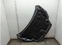  Молдинг капота Ford Focus 2 2008-2011 11848149 #4