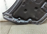  Молдинг капота Ford Focus 2 2008-2011 11848149 #5