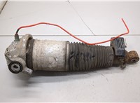 7L6513029M Амортизатор подвески Volkswagen Touareg 2002-2007 21243836 #1