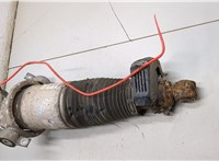 7L6513029M Амортизатор подвески Volkswagen Touareg 2002-2007 21243836 #4