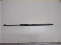 FB5Z78406A11B Амортизатор крышки багажника Ford Explorer 2015-2019 21244873 #1