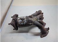  Катализатор Volkswagen Golf 4 1997-2006 21252491 #1