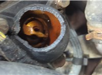 1848055, 6G9Q6005BD Двигатель (ДВС) Ford Focus 2 2008-2011 21255956 #13