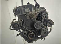 1302398, 3M5G6006DA Двигатель (ДВС) Ford Fiesta 2001-2007 21260053 #1