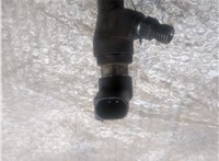 166009445R Форсунка топливная Renault Scenic 2009-2012 21262821 #3