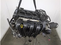 1525706, 4M5G6006BAD Двигатель (ДВС) Ford Focus 2 2008-2011 21268643 #19