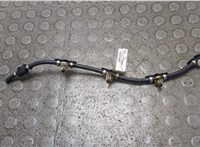  Трубка обратки форсунок KIA Sportage 2016-2022 21274865 #1