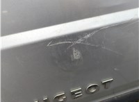 8702A3 Дверь задняя (распашная) Peugeot Boxer 2006-2014 21282453 #19