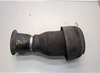 77126790078, 6790078 Пневмоподушка BMW X5 E70 2006-2013 21283888 #1