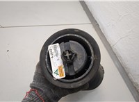 37126790078, 6790078 Пневмоподушка BMW X5 E70 2006-2013 21283891 #4