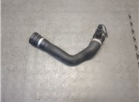 17127536231, 7536231 Патрубок охлаждения BMW X5 E70 2006-2013 21287988 #1