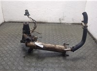 1674284 Охладитель отработанных газов Ford Transit 2006-2014 11879429 #2