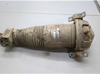 7L8616019C Амортизатор подвески Audi Q7 2005-2015 21299570 #1