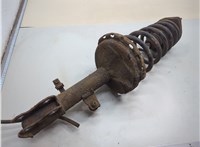  Амортизатор подвески Lexus RX 2003-2009 21304191 #1