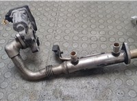  Клапан рециркуляции газов (EGR) Nissan Navara 2004-2015 21306464 #1