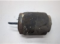  Пневмоподушка BMW X5 E53 2000-2006 21312530 #1