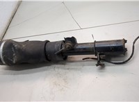  Амортизатор подвески Land Rover Range Rover 3 (LM) 2002-2012 21315955 #3