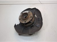  Ступица (кулак, цапфа) BMW 3 E90, E91, E92, E93 2005-2012 21316265 #1