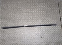 7700838318 Молдинг стекла (боковое) Renault Scenic 1996-2002 21322054 #1