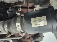 2323599, BK3Q6006EA Двигатель (ДВС) Ford Transit 2006-2014 21327667 #19