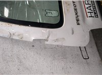 870244, 9839338080 Дверь задняя (распашная) Peugeot Partner 2002-2008 21331063 #9