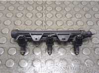  Форсунка топливная Volkswagen Polo 2009-2014 21337656 #1