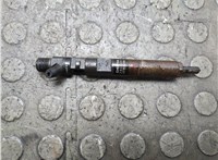 166000897R Форсунка топливная Renault Clio 2009-2012 21342248 #1