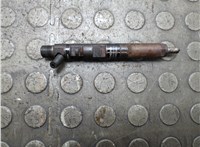 166000897R Форсунка топливная Renault Clio 2009-2012 21342250 #1