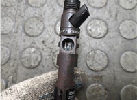 166000897R Форсунка топливная Renault Clio 2009-2012 21342250 #3