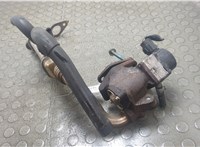 14710AD20A Клапан рециркуляции газов (EGR) Nissan X-Trail (T30) 2001-2007 21343403 #1