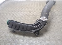 9812735880 Патрубок интеркулера Peugeot 308 2021-2025 21343752 #3