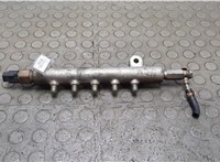  Рампа (рейка) топливная Nissan X-Trail (T30) 2001-2007 21346537 #1