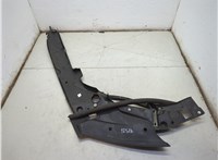  Пластик (обшивка) моторного отсека Dodge Durango 2010-2013 21358781 #2