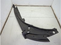  Пластик (обшивка) моторного отсека Dodge Durango 2010-2013 21359520 #1