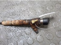166009445R, 8200294788 Форсунка топливная Renault Megane 3 2009-2016 21367145 #1