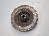  Ступица (кулак, цапфа) Renault Megane 2 2002-2009 21377364 #1