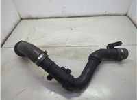  Патрубок интеркулера Opel Vivaro 2014-2019 21381798 #2