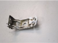  Петля двери Renault Master 2010- 21384328 #3