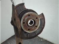  Ступица (кулак, цапфа) Mercedes Vito W639 2003-2014 21384624 #1