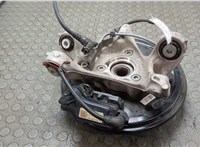 5WA407621D, 1EA505434N Ступица (кулак, цапфа) Volkswagen ID.3 2019-2025 21385863 #1