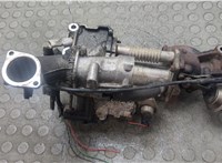  Охладитель отработанных газов Nissan Qashqai 2006-2013 11925237 #1