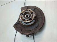  Ступица (кулак, цапфа) Mercedes CLS C219 2004-2010 21390307 #1