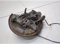  Ступица (кулак, цапфа) Mercedes CLS C219 2004-2010 21390307 #3